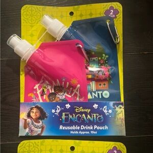 Disney Encanto Reusable Drink Pouch 2-Pack
